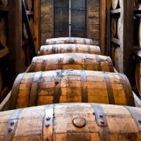 胆汁反流性胃炎,胆汁淤积症有什么症状,胆汁酸