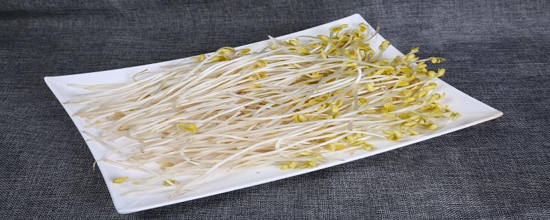 买回来的豆芽怎么保存 豆芽放冰箱可以放多久 乐哈健康网