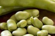 春季吃什么食物好 吃这五种豆子准没错
