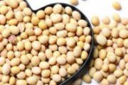 女人丰胸吃什么 丰胸食物和食谱