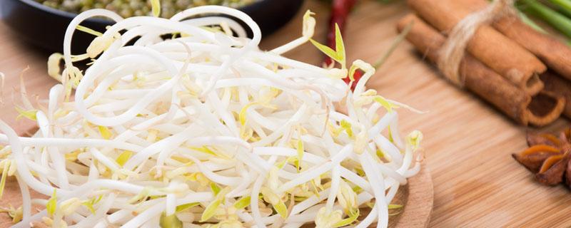 豆芽烂了还能吃吗 豆芽有苦味还能吃吗 乐哈健康网