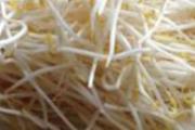 绿豆芽有什么功效 绿豆芽的营养与功效