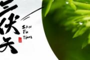什么节气入伏的开始 三伏天是几月份到几月份