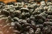 桑葚干熬粥什么时候放 桑葚干熬粥需要放多少