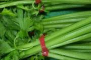 芹菜有什么功效 吃芹菜注意事项
