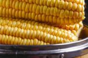 玉米是不是碱性食物 水果玉米要煮多久