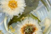 金银花野菊花蒲公英可以一起泡茶吗 蒲公英怎么泡茶