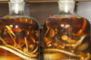什么药酒能去风湿