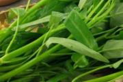 空心菜发苦能吃吗 空心菜为什么发苦