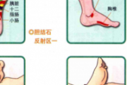 胆结石按什么什么穴位有效
