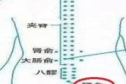 腰俞的位置示意图 腰俞是什么意思