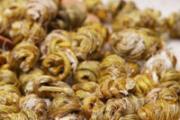 铁皮石斛高血压能吃吗 高血压患者饮食要注意哪些