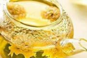 湿热体质喝什么茶最好