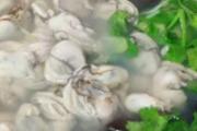 海蛎子的功效与作用