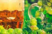 中暑可以喝酒吗 中暑就应该喝这些饮料