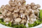 宝宝能吃蟹味菇吗 宝宝吃蟹味菇的禁忌