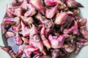 菱角要煮多长时间才熟 菱角怎么快速去壳