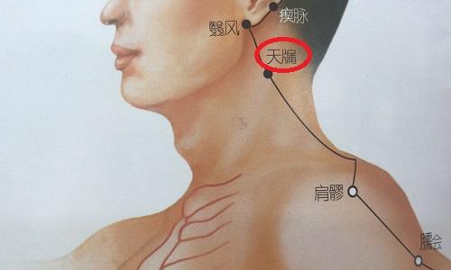 当乳突的后1天牗的准确位置图发表[养生攻略]天牗的准确位置图 天牗