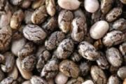 奇亚籽炒熟了怎么吃法 奇亚籽炒熟吃还是生吃好