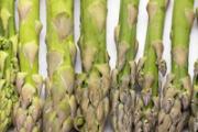 芦笋可以煲汤吗 芦笋和什么一起煲汤好