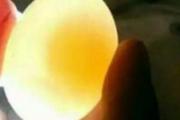 鸽子蛋的营养价值