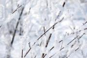 大雪节气的注意事项
