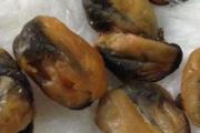 淡菜为什么叫淡菜 淡菜是什么东西