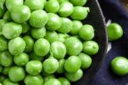 新鲜豌豆的叶子可以吃吗 豌豆叶子上白斑可以吃吗