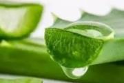 芦荟怎么吃 这5种吃法你知道吗