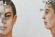 五处的准确位置图 五处的作用是什么