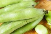 蚕豆宝宝能吃吗 蚕豆怎么做给宝宝吃