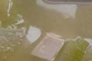 冬瓜豆腐汤能减肥吗 冬瓜豆腐汤是发物吗