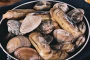 蛏子肉可以冷冻吗 怎么判断蛏子死了