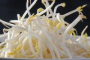 秋天吃什么菜好