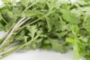 艾草与什么食物相克 吃艾草的功效与作用