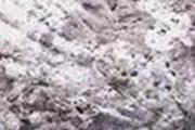 煅牡蛎的功效与作用