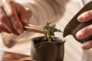 脾胃虚弱喝什么茶 喝茶后恶心想吐是怎么回事