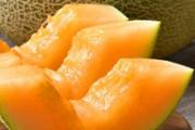 哈蜜瓜的功效与作用 哈密瓜的食用方式和注意事项