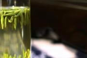 绞股蓝泡水温度是多少 绞股蓝的正确泡法