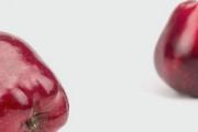 花牛苹果能保存多久