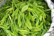 谷雨茶是什么茶