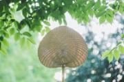 夏天尿黄的原因是什么 为什么夏天尿黄