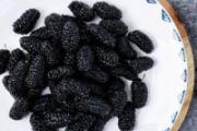 桑葚干和什么搭配泡水喝功效最好 桑葚干可以用开水泡吗