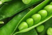 孕妇能吃扁豆吗
