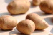 山药豆可以打豆浆吗 山药豆打豆浆怎么清洗 