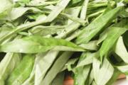 空心菜冻了还能吃吗 空心菜冻了可以保存多久