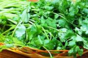 香菜煮水有什么功效 哪些人不适合吃香菜