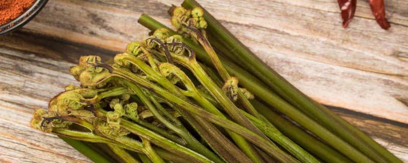 什么食物容易消化