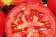 西红柿和苹果榨汁和饭一起吃好吗 西红柿和苹果榨汁会变白吗