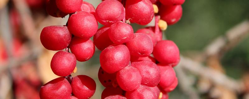 白环俞准确位置图片,白环俞怎么找准